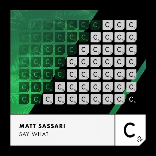 Matt Sassari - Say What (Extended Mix) [ITC3219BP]